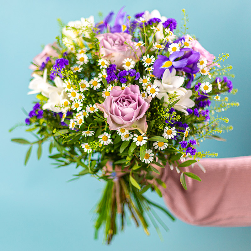 Söt Iris