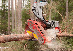 Log Max AB