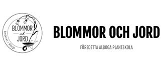 Blommor och Jord i Alboga
