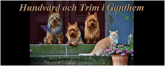 Hundvård och Trim i Ganthem