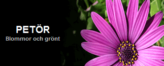 Petör AB