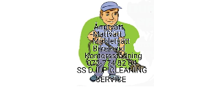 Ss Djup Cleaning Service
