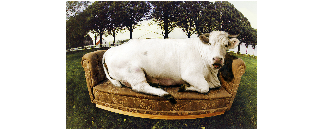 Fotograf Jan Nordén