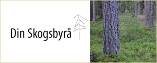 Din Skogsbyrå