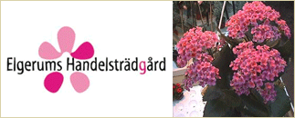 Elgerums Handelsträdgård