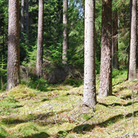 Värdering