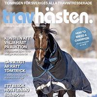 Tidningen