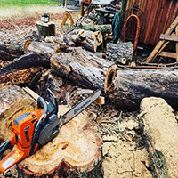 Arborist