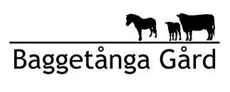 Baggetånga Gård - Hovslageri
