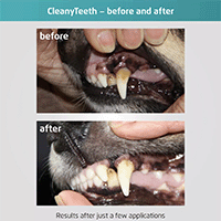 Förebyggande tandvård