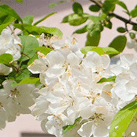 Serice & aktiviteter