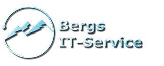 Bergs IT-service