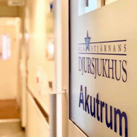Akutvård