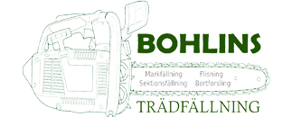 Bohlins Trädfällning