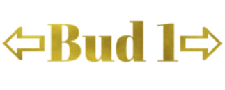 BUD 1 Trp. och uthyrning Oskarshamn AB