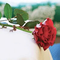 Anmälan minnesstund