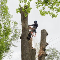 Städprodukter/Maskiner