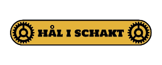HÅL I SCHAKT