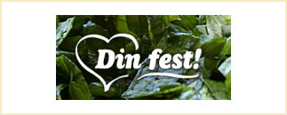 Din Fest