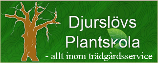 Djurslövs Plantskola