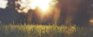 Psykolog Indira Dzinic