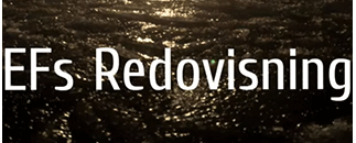 EFs Redovisning Handelsbolag