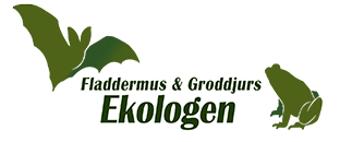 Fladdermus och Groddjurs Ekologen