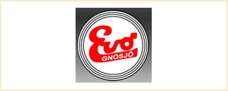 Metallfabriken Evo AB