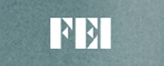 FEI - Företagsekonomiska Institutet