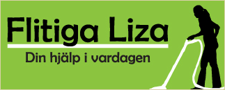 Flitiga Liza AB