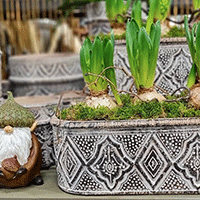 Garden Center
