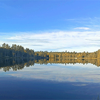 Tjänster