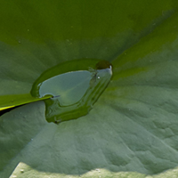 Släkt och vänner vid dödsfall