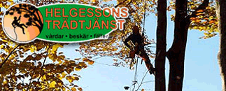 Helgessons Trädtjänst AB