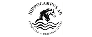 Hippocampus AB