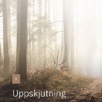 Uppskjutning