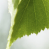 Svåra mem viktiga frågor