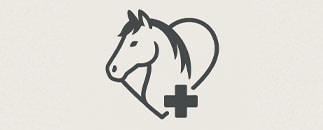 JVH Hästveterinär AB