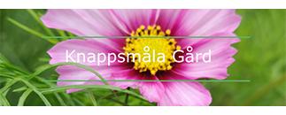 Knappsmåla Byggnadshantverk