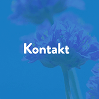 Kontakt