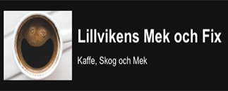 Lillvikens Mek och Fix