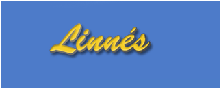 Linnés i Kristinehamn AB