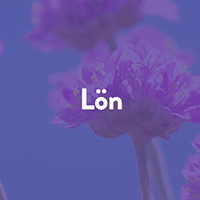 Lön