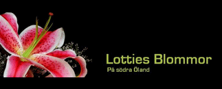 Lotties Blommor