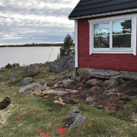 Tjänster
