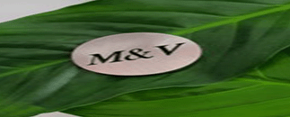 M&v Massage & Terapi