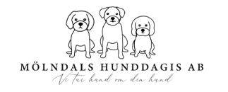 Mölndals Hunddagis AB