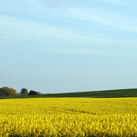 Aktuellt