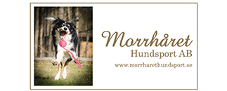 Morrhåret Hundsport AB