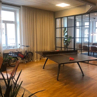 Bli ekonomikonsult